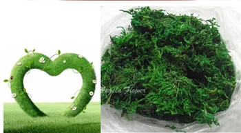 100 g/paket Priroda suho pravi zelena mahovina i Biljke ukrasnih lončanica umjetni travnjak, svila, cvijeća i pribor za ukrašavanje Bonsai